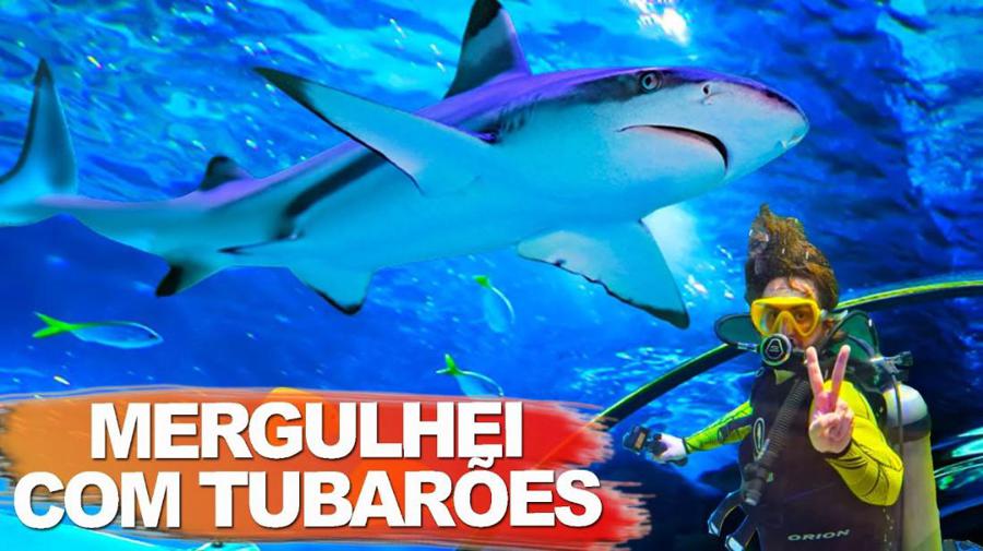Oceanic Aquarium, o maior aqurio do sul do Brasil em Balnerio Cambori.